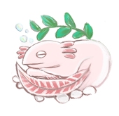 mumu