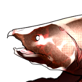 HSalmon