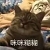 Arlene橘