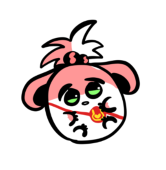 しゃこを