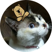 おとそん