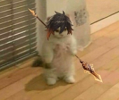 Ren