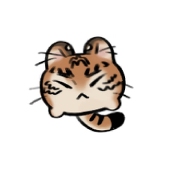 KyoKy