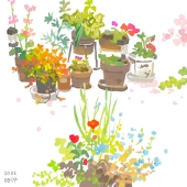 槙