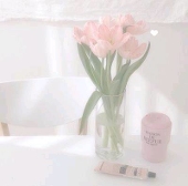 *°𓂃◌𓐍𝐚𝐲𝐚𓂂◌♡*°