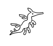 nyrc_akn