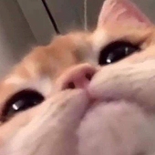 ノル