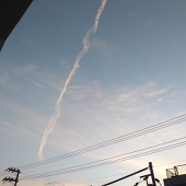 ゆきーら