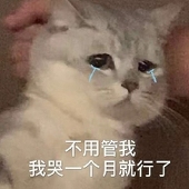 陆浅悯