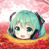 qaq555