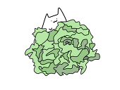 Lettuce (レタス)