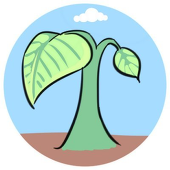 Kyosaki