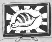土文
