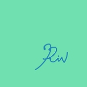 RiN