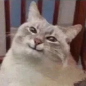 Whrst.