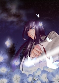 irise