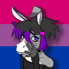pixiemuledonkey