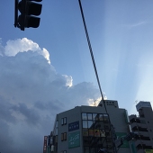 椿幽