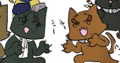 ソイ