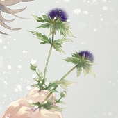 もこ