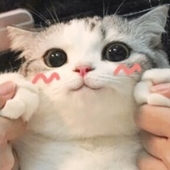 仁青