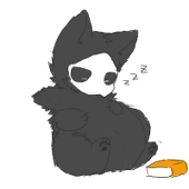 けものすき
