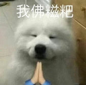 脏桃今天摸鱼了吗