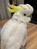 麼麼生活紀錄