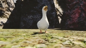 ray