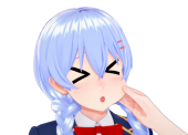 N-ネコ