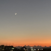 邑