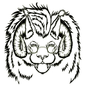 Dr Chimera