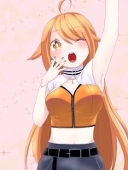 和 ｰﾅｺﾞﾐｰ