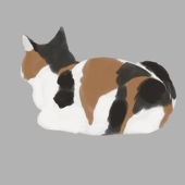红镜