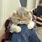 katriiixna