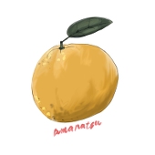甘夏