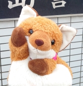摩耶夕湖