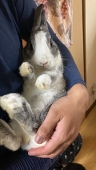 スカルキングEX