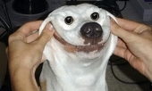 username_here