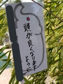 あせび