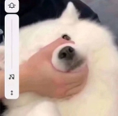 NOKTA