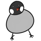 闇文鳥