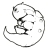 khrn_nfz