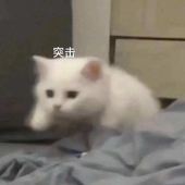 CyanPearl珠青