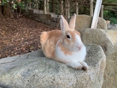 ユキ