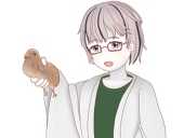 Tomigawajun