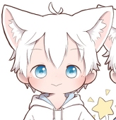 ☆北极星★