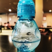 シナプス小胞