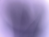 绅士桑