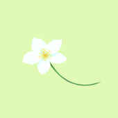 抹茶ミルク